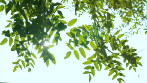 Quạt cầm tay USB di động 5000-6000mAh Quạt điện mini tốc độ cao 100 Điều chỉnh tốc độ làm mát