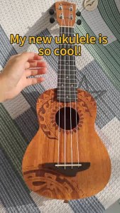 Acouway Ukulele Soprano/Concert Beginner Mahogany 21/23 Inches Ukelele With FREE Accessory Set