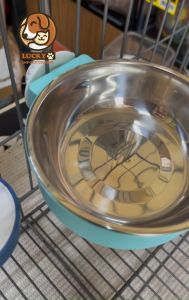 Tempat Makan Anjing Kucing Mangkok Stainless Steel Gantung Murah Impor