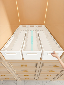 XINGYOU | Extendable Clothing Organizer Box