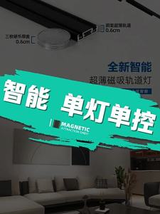 MOLISAI | Ultra Thin Smart Control Magnetic Track Ceiling Light General Lighting
