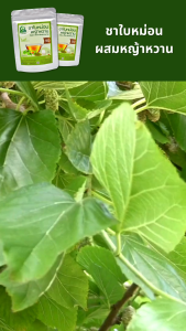 ชาใบหม่อนผสมหญ้าหวาน ตราไร่กฤติยา (Mulberry Stevia Blended Leaf Tea)