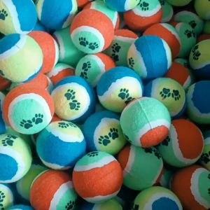 Mainan anjing dan kucing anabul bola tenis interaktif awet