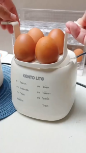 Electric Egg Boiler Egg Cooker 8 Egg Boiler Capacity Automatic Quickly Cooked Multifunctional Egg Steamer煮蛋器