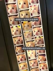 YOULE | Cute Pet Sticker Pack Decoration for Scrapbook Student Gags