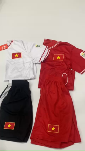 Bộ Quần Áo Đá Bóng - Đá Banh Đội Tuyển Việt Nam(TRẺ EM VÀ NGƯỜI LỚN)2025 (Đủ Màu - Đủ Size)