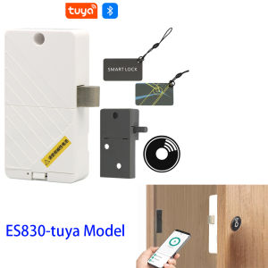 Tuya Invisible Electronic RFID Cabinet Lock Keyless Hidden Door Lock for Furniture Cabinet Drawer - Castle Security System