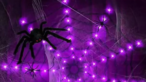 Big Halloween Spider 30/50/75cm with Bendable Legs Halloween Decoration 万圣节大蜘蛛毛绒玩具 可弯曲腿家居装饰派对整蛊​