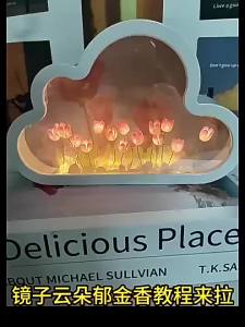 Đèn Ngủ Hoa Tulip Mây DIY Gương Hoa Thủ Công Đèn Tạo Không Khí Lãng Mạn Đồ Trang Trí Bàn Làm Việc Sáng Tạo Quà Tặng Kèm Bóng Đèn