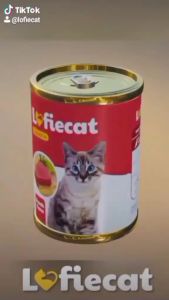 Lofi Cat Makanan Basah Kucing 400 Gr Makanan Kaleng 400 Gr