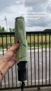 PAYUNG LIPAT OTOMATIS Motif Buah 3D korean style anti uv protection