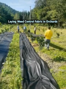 100/200M Weed Control Barrier Fabric Weeding Cloth Black Degradable Film Weed Block Gardening Mat