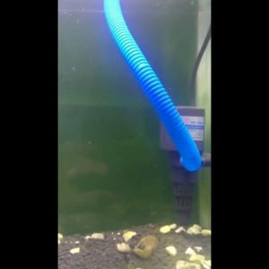 Pusat Aquarium - Selang Spiral Aquarium Biru 90 cm Selang Biru Pompa Filter Akuarium