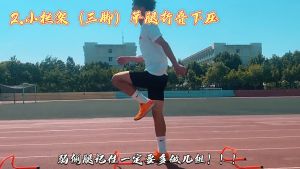 Latihan Bola Sepak Berpagar Tangkas Melompat Melengkung Kecil Berpagar Kombinasi Ketangkasan Berpagar Peralatan Latihan Bola Sepak Halangan Halangan