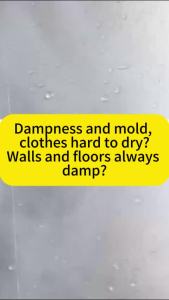 Large capacity 800ML moisture absorber charcoal dehumidifier Disposable Dehumidifier Moisture Absorber Removes Odor Mold & Mildew Prevention dehumidifiers for molds dehumidifiers for room