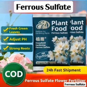 500g Ferrous Sulfate Iron Supplement Fertilizer Correct Yellow Leaves & Adjust Soil pH For GardeningAcid‑Loving Plants Garden & Farm Use