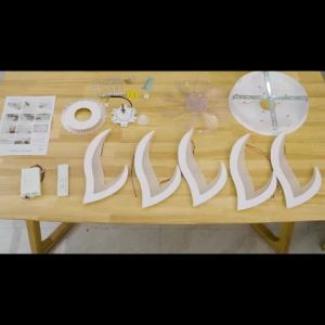 Hunta Dimmable Ceiling Fan Light Variable Frequency Mute Ceiling Fan Light Huapean Smart Fan Light Can Be Controlled By APP