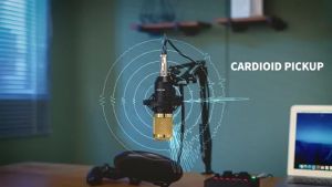 RIXTON Podcast Equipment Bundle Audio Interface with All in One Live Sound Card and Condenser Microphone Perfect for Recording Broadcasting Live Streaming (Gold)