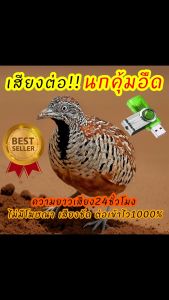 เสียงต่อนกคุ้มอืด เสียงคุ้มอืด ความยาว 24 ชั่วโมง ต่อเข้าเร็ว USBแฟลชไดร์ฟเสียงต่อคุ้มอืด เสียงชัดเสียงใสไร้โฆษณา