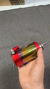 Củ đề độ Winner trái lớn RedLeo MS25