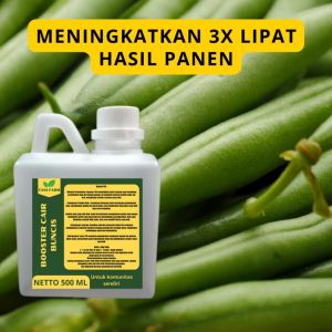 Pupuk Pelebat Buncis / Pupuk Buncis / Pupuk Booster Buncis / Pupuk Buncis