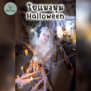 ร้านไทย ใยแมงมุม พร้อมแถมแมงมุม ตกแต่งฮาโลวีน ใยแมงมุมปลอม Halloween ปาร์ตี้ บ้านผีสิง