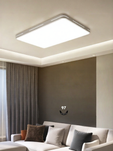 Bull | Ultra Bright Full Spectrum Modern Simple LED Ceiling Light