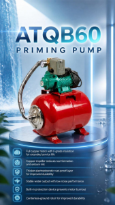 TAIFU QB60-ECO Peripheral Water Pump 0.5HP - Full Copper Motor - Inlet Outlet Capacitor Fan Motor - Energy Saving - F-Grade Insulation - Available Model