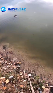 Spinner Bait Fishing Bait Set Top Water Lure Tackle Lure For Fishing Floating Gear SwimBait Lure Hook Fishing Lure Fishing Accessories Minnow Lure Buzz Bait Lure 1Pcs 58mm/6g Plastic Bait Fish bait