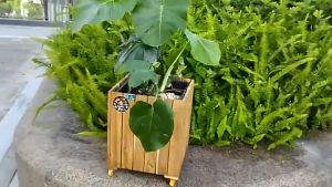 Chậu gỗ trồng cây chậu gỗ vuông TopChoice sen đá hoa hồng tulip chậu nhụa bên trong 1 cái.