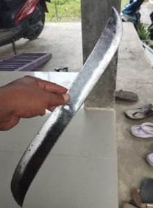 READY STOK!!!Mata pisau pemotong pencacah rumput pakan ternak 30cm lubang as bisa riques