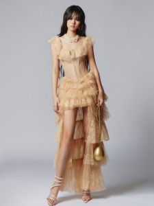 Elegant Lace Ruffled Dress for Formal Occasions