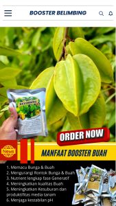 Booster Tanaman Belimbing / Pupuk Booster Hayati Khusus Tanaman Belimbing