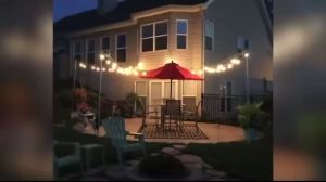 สายไฟห้อยระย้า ขั้วE27 5-50เมตร พร้อมหลอดแบรนด์Green LED ไฟ 220v สายระย้า LED 3W หลอดปิงปอง