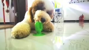 Cactus Durable Dog Pet Toy Chew Toys ToothBrush for Aggressive Chewer Interactive Dental Toys for Training & Cleaning Teeth