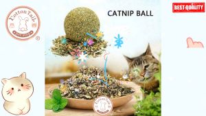 Catnip Ball - Cat Toys Catnip Bola - Catmint Cat Mainan Per pcs
