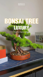 Bosca Living - Bonsai Tree Luxury Home Decoration / Pajangan Ornamen Tanaman Hias Pohon Bonsai Jepang Artificial Premium / Hiasan Interior Rumah
