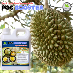 Pupuk Organik Cair InterFarm Booster Durian - Nutrisi Pekat & Hidrat untuk Tanaman