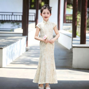 Chinese Style Princess Dress for Girl
