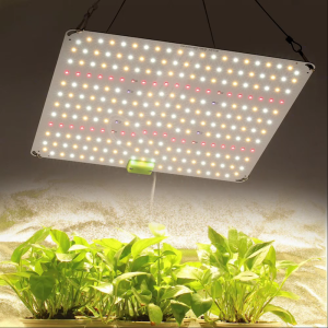 DC36V LED ไฟปลูกต้นไม้ Grow Light  เต็มสเปกตรัม LM281B UV IR Chip 650W พร้อมสวิตช์ความสว่าง โคมไฟสำหรับเรือนกระจกปลูกแสง