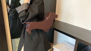 กระเป๋าหมาดัชชุน มีสีน้ำตาล สีดำ สะพายเเล้วเก๋เท่ห์ไม่เหมือนใคร  สะพายคล้องไหล่  มี 2 สี ดำ  น้ำตาล