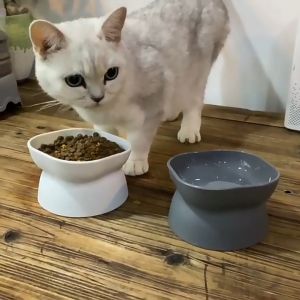 Bekas Mangkuk Makanan Kucing Perlindungan Leher 10° Tilted Cat Bowl Neck Protection Double Sided Pet Food Bowl - LILO