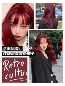 Danisi Hair Dye Paste 100g Rich Dark Burgundy Red Brown Color for Women Home Use Hair Coloring Agent Clear Long Lasting Glossy