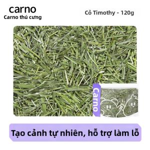 CARNO | Đệm Lót Chuột Hamster Không Bụi Mềm