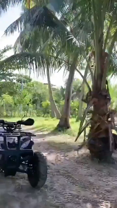 LBLS 250ML Nicotinamide lotion for skin whitening and moisturizing FDA