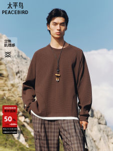 Peacebird Mens Loose Fit Texture Sweatshirt Trendy Autumn New Style B2CRF3212 Polyester Fiber Long Sleeve round Neck Sweatshirt