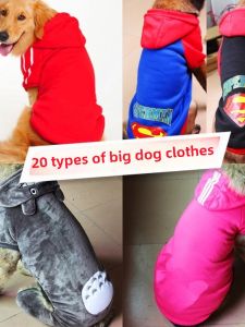 เสื้อผ้าสุนัขโกลเด้นรีทริฟเวอร์ซาโมะขนแกะสุนัขขนาดเล็กกลางใหญ่ชุดฤดูใบไม้ร่วงและฤดูหนาวสุนัขโกลเด้นรีทริฟเวอร์ซาโมฮัสกี้