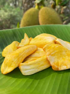 Yunnan Xishuangbanna Specialty Dried Jackfruit Dried Fruit Chip Dehydrated Fruits and Vegetables