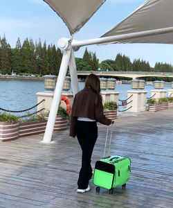 EDENPETZ Large Pet Dog Trolley Load 15KG 4 Universal Wheels Pet Stroller Cat Dog Carrier Bag Wheeling Suitcase For Big Pet Travel Case