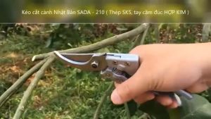 KÉO CẮT TỈA CÀNH CÂY Nhật Bản (SADA-210 - Hàng cao cấp) Chất liệu thép SK5 không gỉ sắc bén với tay cầm HỢP KIM đúc